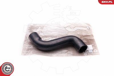 FURTUN EAR SUPRAALIMENTARE