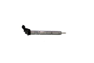 INJECTOR REMANTE 002003001368R 43