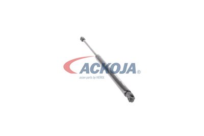 AMORTIZOR PORTBAGAJ ACKOJA A520062 48