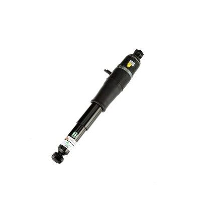 LUFTFEDERBEIN Arnott AS3066 72