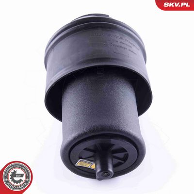 ARC PNEUMATIC DIRECTIE ESEN SKV 58SKV022 2