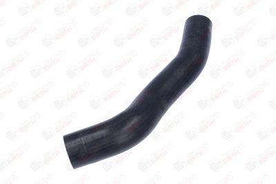 FURTUN EAR SUPRAALIMENTARE BIRTH 55800 5