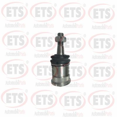 Шарнири ETS 06.BJ.446