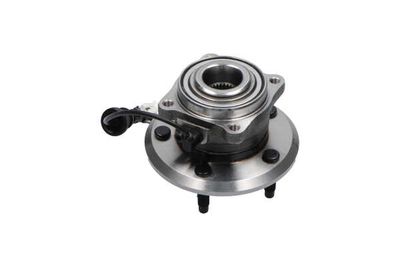 SET RULMENT ROATA Kavo Parts WBH1004 18