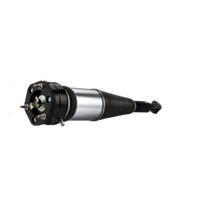 BRAT ARC PNEUMATIC Arnott AS2894 14