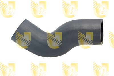 UNIGOM S2550 Воздушный патрубок для FIAT DOBLO Автобус (263_) 1.3 D Multijet (263AXC1A) UNIGOM S2550 Воздушный патрубок для FIAT DOBLO Автобус (263_) 1.3 D Multijet (263AXC1A)