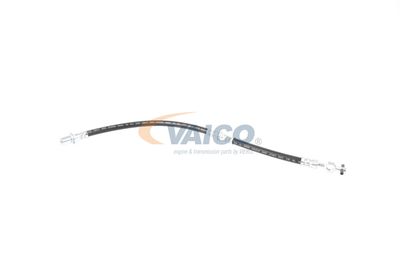 FURTUN FRANA VAICO V704100 4