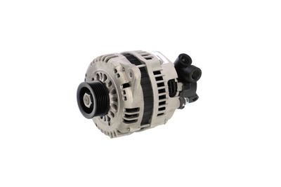 GENERATOR / ALTERNATOR REMANTE 011003000003R 6