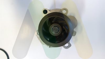 POMPă DE APă RăCIRE MOTOR MOTAQUIP LVWP1062 1