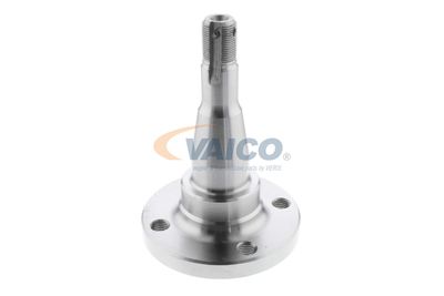 BUTUC ROATA CORP AXA VAICO V400793 19