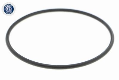 POMPA VACUUM SISTEM DE FRANARE VAICO V100729 1