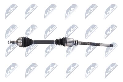 PLANETARA NTY NPWCT161 24