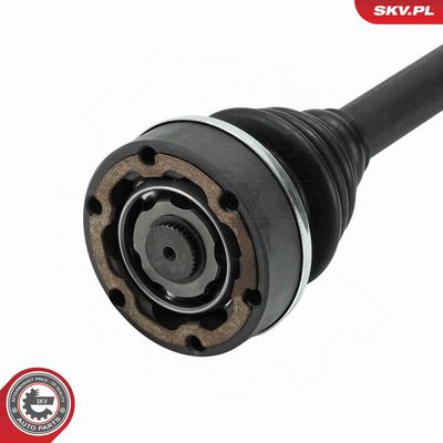 PLANETARA ESEN SKV 40SKV010 2