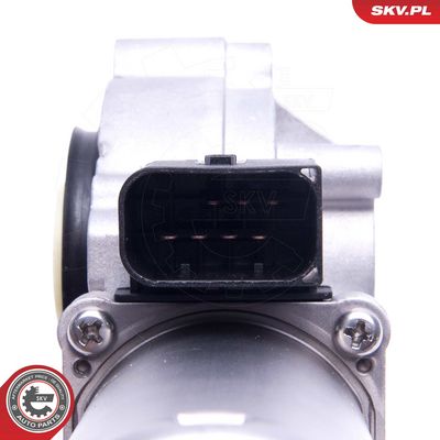 4 Artikelbild