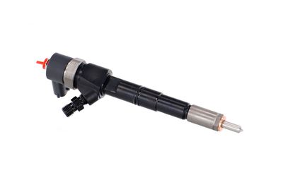 INJECTOR REMANTE 002003000028R 45