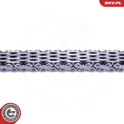 CHIT LANT DE DISTRIBUTIE ESEN SKV 21SKV151 1