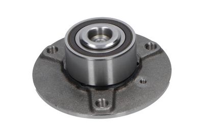 Kavo Parts Rato guolio komplektas