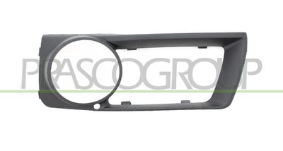 PRASCO BM8411234 Решетка радиатора  для BMW X6 (Бмв X6)