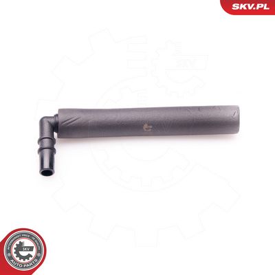 Žarna, karterio alsuoklis