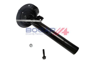 AMORTIZOR BOGAP B3410112 4