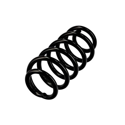 ARC SPIRAL EIBACH R10137 3