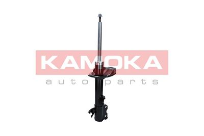 Shock Absorber 2000308