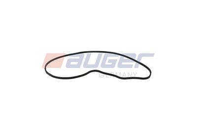 Dichtung, Wasserpumpe