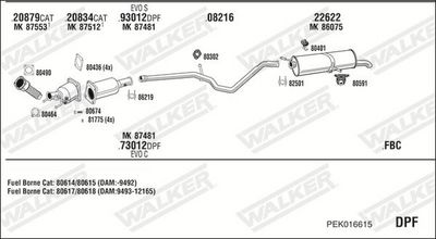SISTEM DE ESAPAMENT WALKER PEK016615