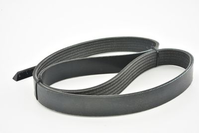 CUREA TRANSMISIE CU CANELURI FEBEST 881286L883 21