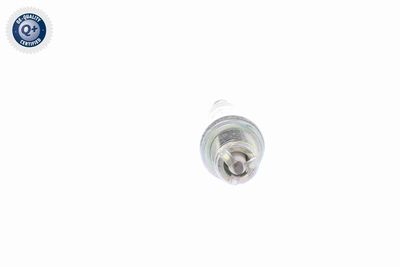 BUJII VEMO V99750013 7