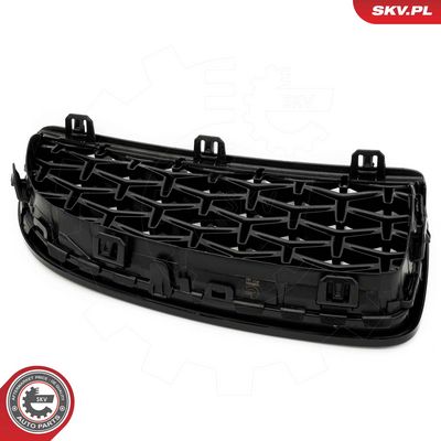 GRILA RADIATOR ESEN SKV 66SKV094 5