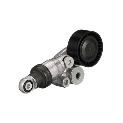 INTINZATOR CUREA CUREA DISTRIBUTIE GATES T39501 24