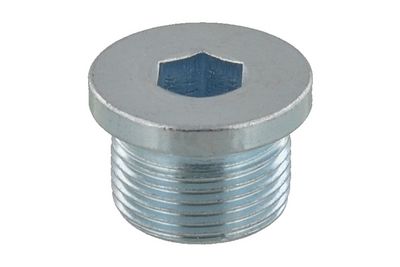 Vis de fermeture, carter de boîte de vitesses automatique TOPRAN — 14mm