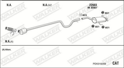 SISTEM DE ESAPAMENT WALKER PEK018268