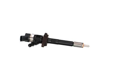 INJECTOR REMANTE 002003000030R 39