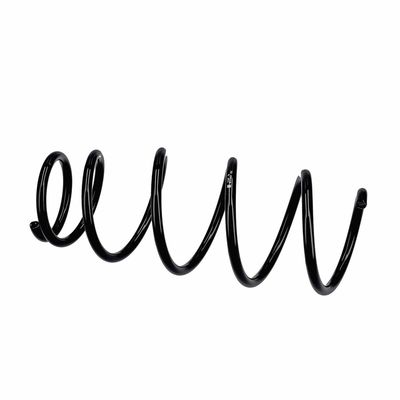 ARC SPIRAL EIBACH R11021 20