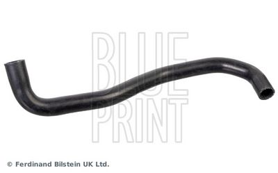 BLUE PRINT Kühlerschlauch