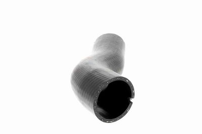 FURTUN EAR SUPRAALIMENTARE VAICO V240715 7