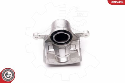 Brake Caliper 23SKV611