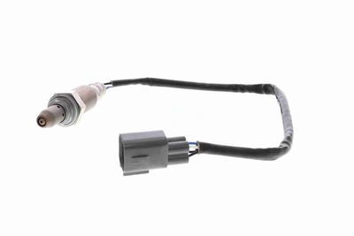 LAMBDASONDE VEMO V70760029 4