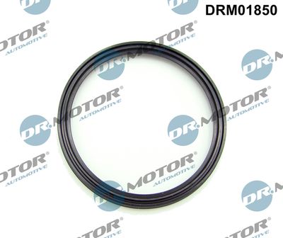 Dr.Motor Automotive Dichtring, laadluchtslang (DRM01850)
