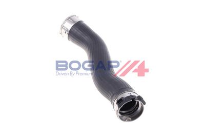 FURTUN EAR SUPRAALIMENTARE BOGAP B1711134 2