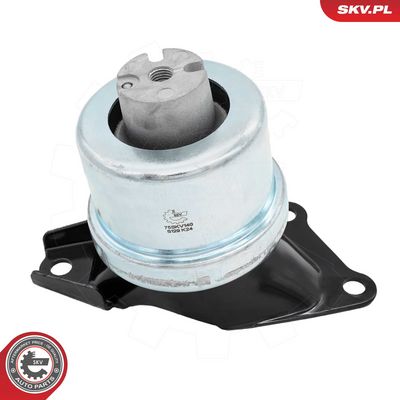 variklio montavimas 75SKV140 ESEN SKV