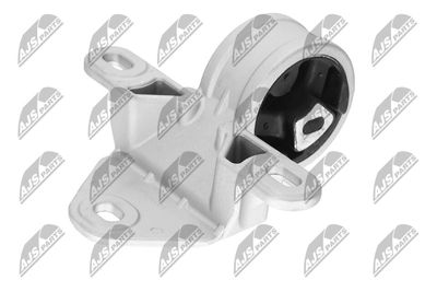 SUPORT MOTOR NTY ZPSCH001 21