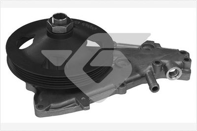 HUTCHINSON WP143 Помпа (водяной насос)  для RENAULT TWINGO (Рено Тwинго)