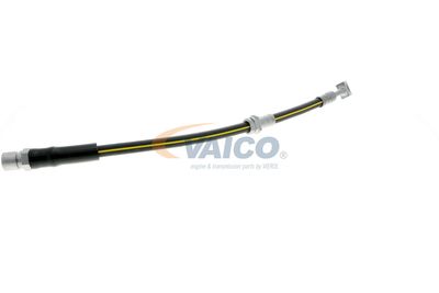 FURTUN FRANA VAICO V404110 36