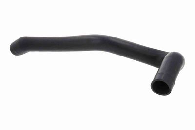 FURTUN EAR SUPRAALIMENTARE ACKOJA A380640 2