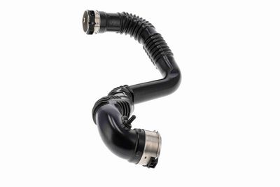 FURTUN EAR SUPRAALIMENTARE ACKOJA A380624 5