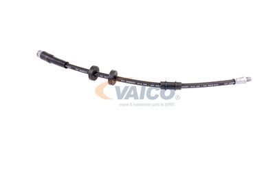 FURTUN FRANA VAICO V240970 28