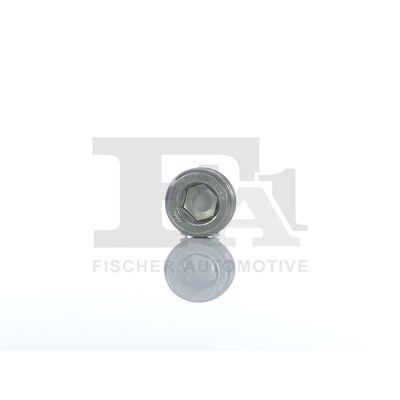 SURUB DE INCHIDERE SUPORT SONDA LAMBDA FA1 257902001 29